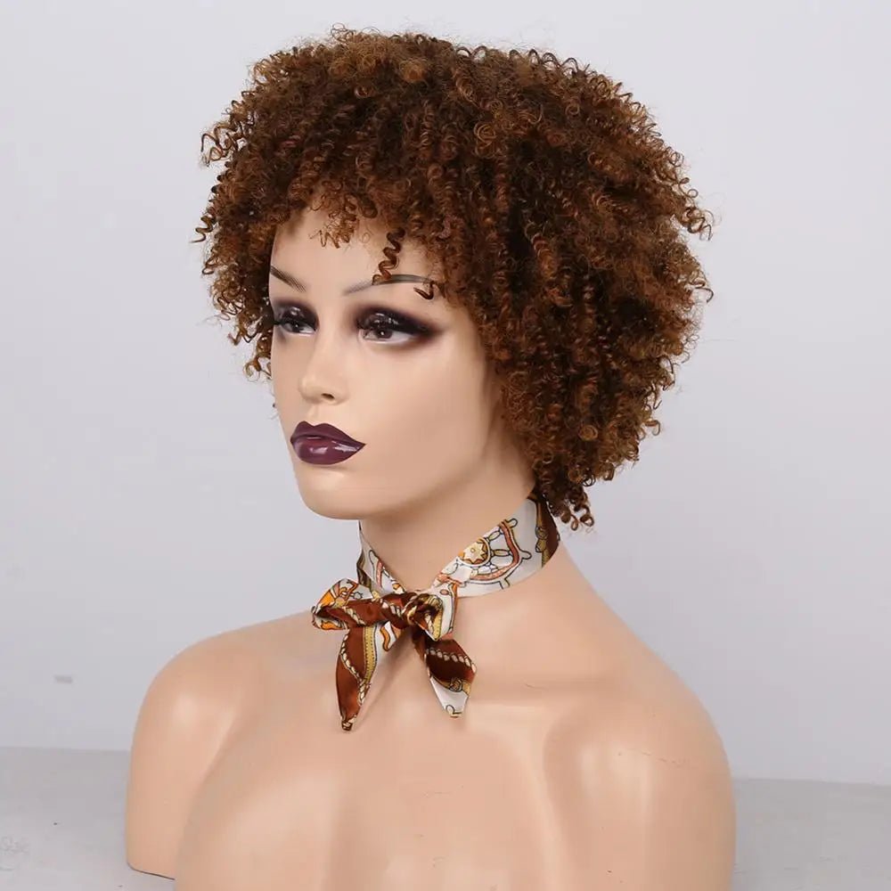 Amir Hair Synthetic Kinky Curly Short Afro Wig for Women - Black & Brown Fluffy Curls - Free Delivery Worldwide only at Flexi Africa