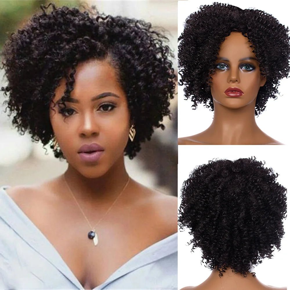 Amir Hair Synthetic Kinkly Curly Wigs For Women Black Brown Short Afro Wig Fluffy - Flexi Africa - Free Delivery Worldwide only at www.flexiafrica.com