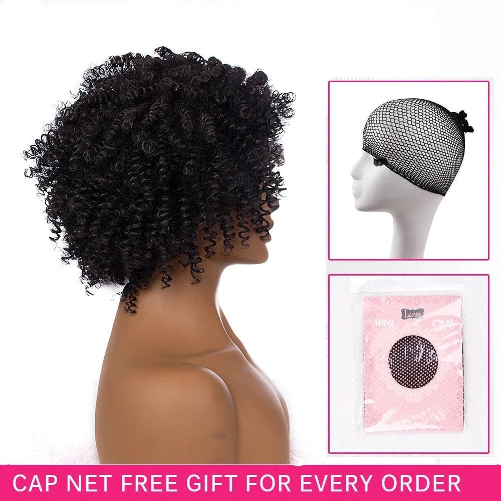 Amir Hair Synthetic Kinkly Curly Wigs For Women Black Brown Short Afro Wig Fluffy - Flexi Africa - Free Delivery Worldwide only at www.flexiafrica.com
