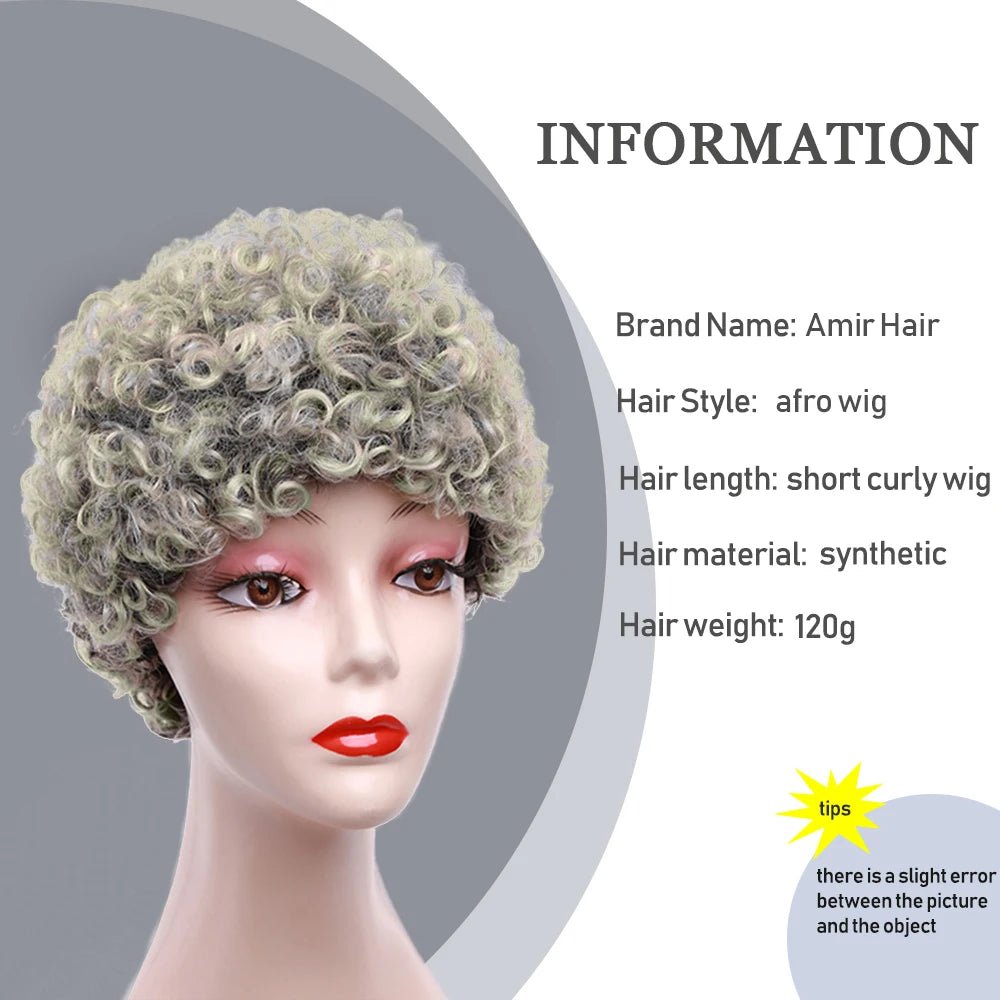 Amir Short Grey Afro Kinky Curly Wig Women Synthetic Hair Wigs With Natural Short Bob Wigs - Flexi Africa - Free Delivery Worldwide only at www.flexiafrica.com