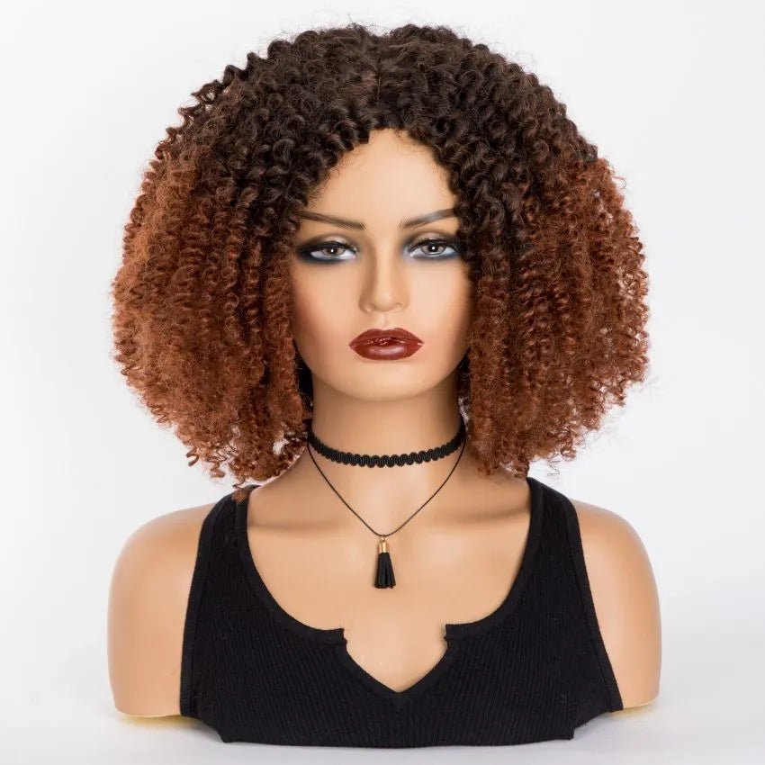 Chic Afro Kinky Curly Ombre Wig: Synthetic, Glueless, Ideal for Black Women - Flexi Africa Free Delivery www.flexiafrica.com