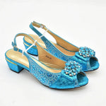 Elegant Rhinestone Women’s Shoes and Bag Set – Nigerian Party Style Matching Pumps & Handbag - Free Delivery Worldwide only at Flexi Africa