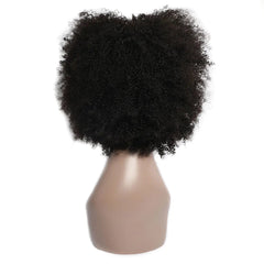 Natural Black Afro Kinky Curly Wig: Short Pixie Style for Black Women - Flexi Africa - Free Delivery - www.flexiafrica.com