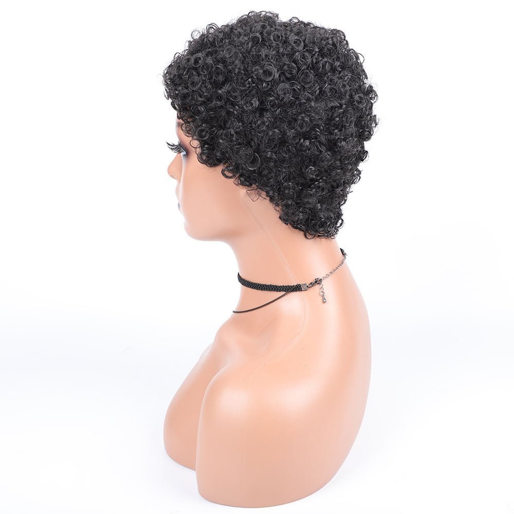 Short Afro Curly Synthetic Hair Wigs for Black Women Pixie Cut Wigs with Thin Hair - Flexi Africa - Free Delivery