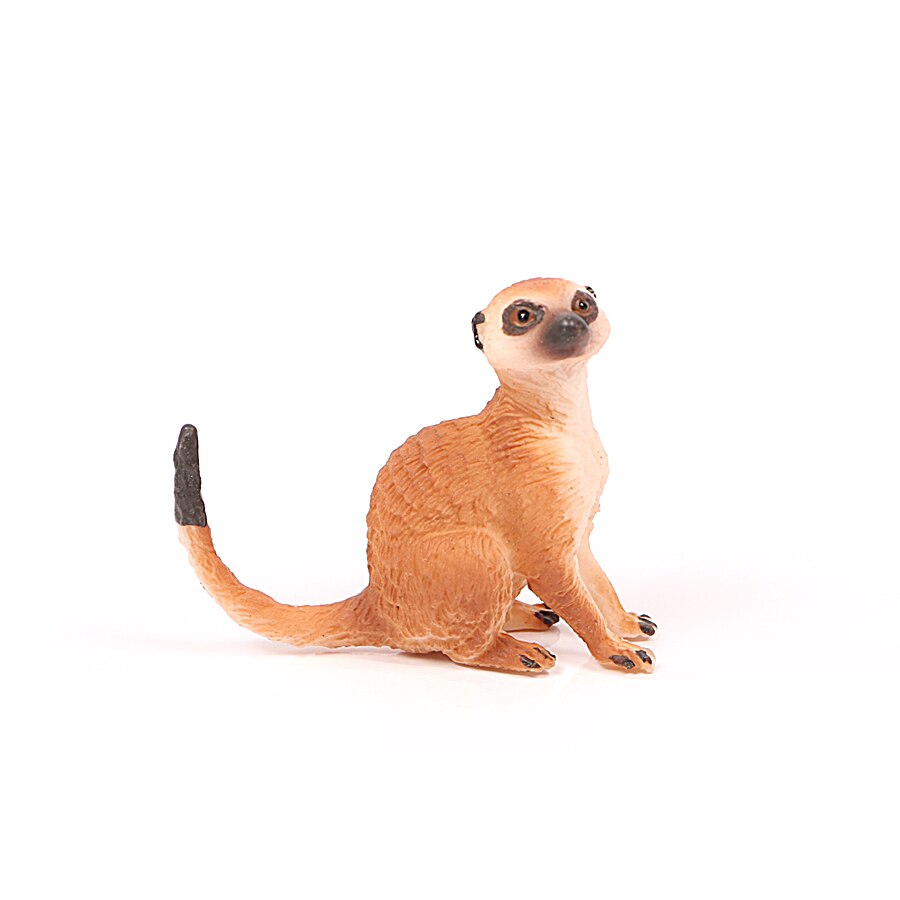 Wild Zoo Animals Simulation Cute Small Africa Meerkat Animal Models Action Figures Figurine Decoration Collection Kids Toys - Flexi Africa - Flexi Africa offers Free Delivery Worldwide - Vibrant African traditional clothing showcasing bold prints and intricate designs