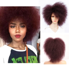 Amir Synthetic Kinky Curly Wig: Short Afro Wigs 6" Short Wig - Flexi Africa - Flexi Africa offers Free Delivery Worldwide - Vibrant African traditional clothing showcasing bold prints and intricate designs