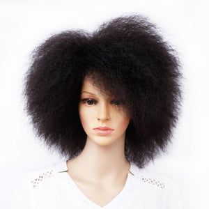 Amir Synthetic Kinky Curly Wig: Short Afro Wigs in Black, Brown, and Red Colors - 6 Inch Short Wig for Women