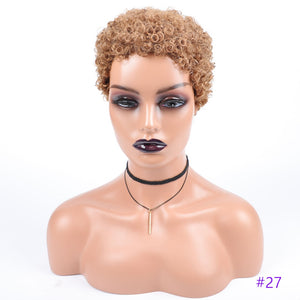 Short Afro Curly Synthetic Hair Wigs for Black Women: Pixie Cut Wigs with Thin Hair in Black, Brown, and Blonde Shades for a Chic and Effortless Look"